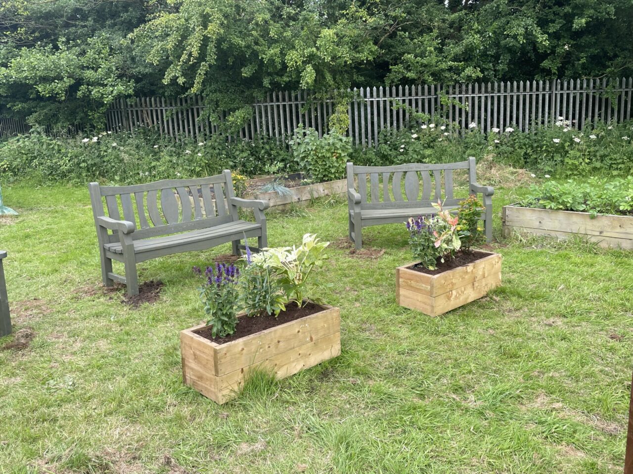 July 2024 Newsletter